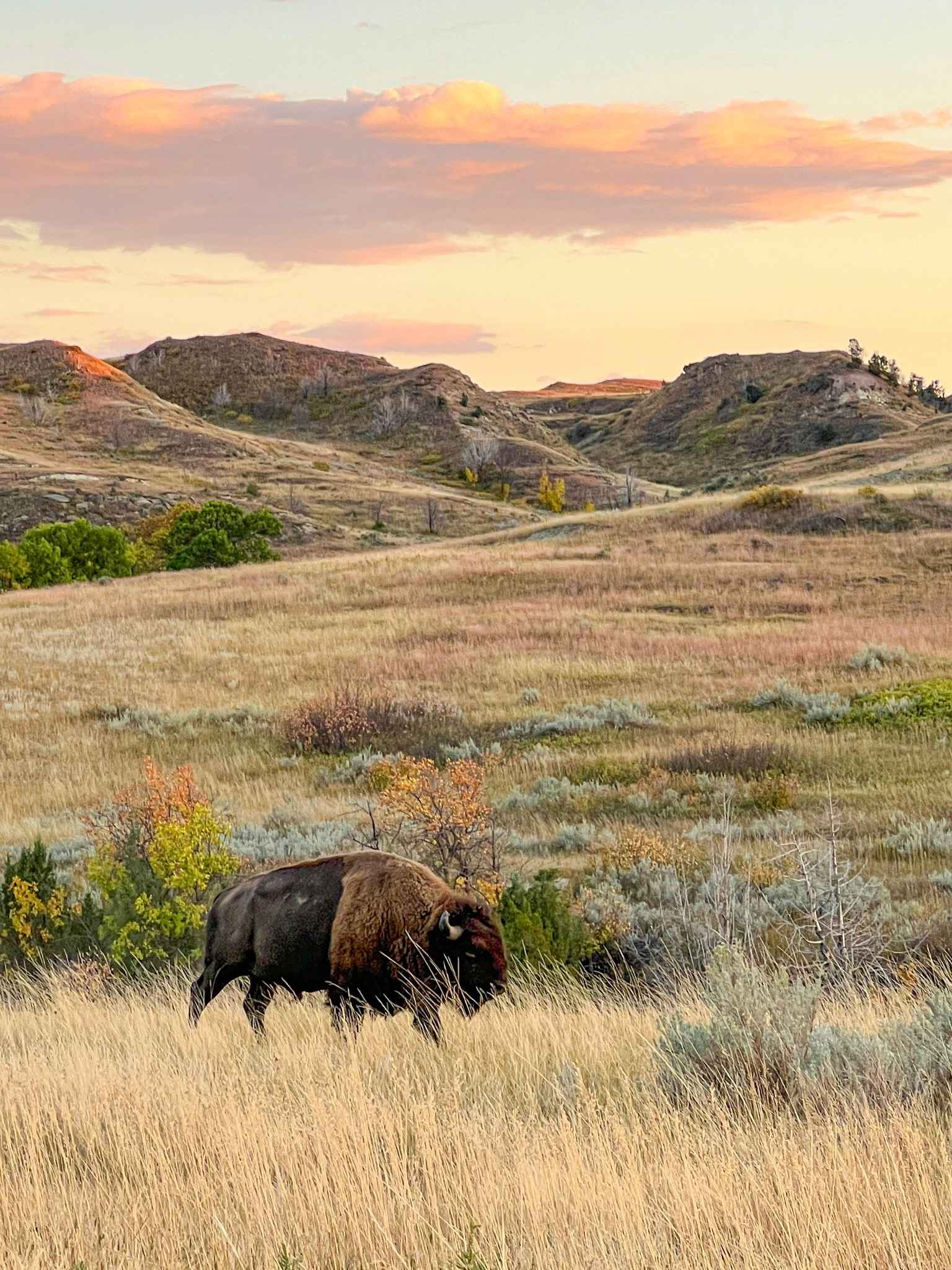 The Great American West 